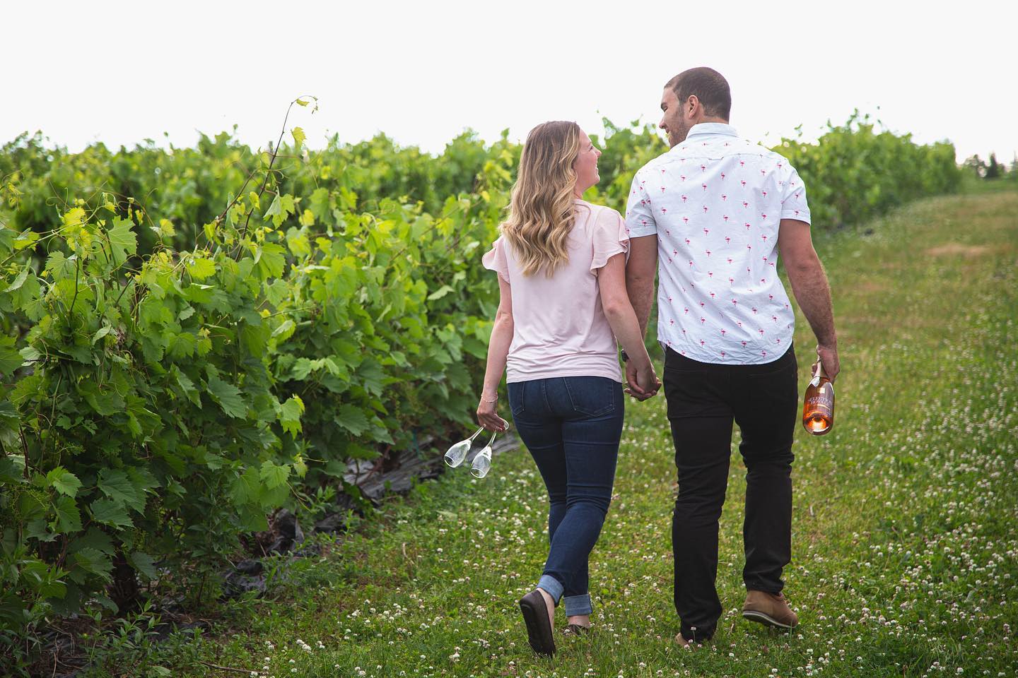 Harvest Season at Le Cep d’Argent Vineyard